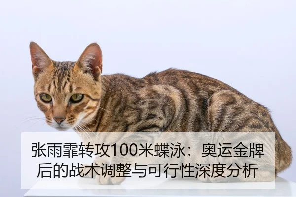 zhang-yu-fei-zhuan-gong-mi-die-yong-ao-yun-jin-pai-hou-de-zhan-shu-tiao-zheng-yu-ke-xing-xing-shen-du-fen-xi-2-514.jpg