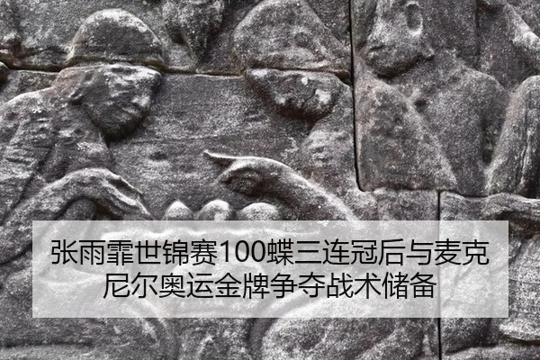 zhang-yu-fei-shi-jin-sai-die-san-lian-guan-hou-yu-mai-ke-ni-er-ao-yun-jin-pai-zheng-duo-zhan-shu-chu-bei-2-307.jpg